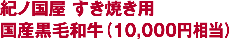 紀ノ国屋 国産黒毛和牛すき焼き用セット