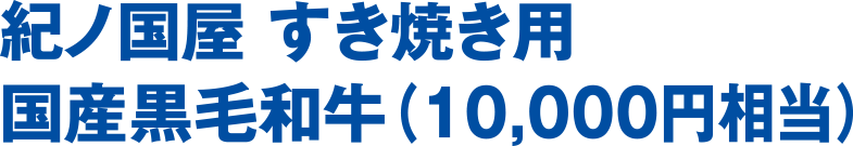 紀ノ国屋 国産黒毛和牛すき焼き用セット