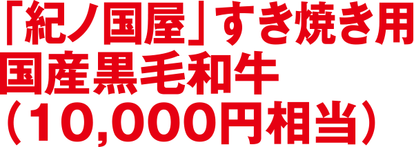 紀ノ国屋 すき焼き用国産黒毛和牛（10,000円相当）